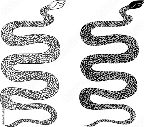 red snake vector.Lampropeltis triangulum vector.Sticker and hand drawn snake for tattoo.Red snake Reptile on white background.