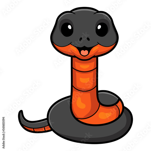 Cute copperbelly water snake cartoon photo