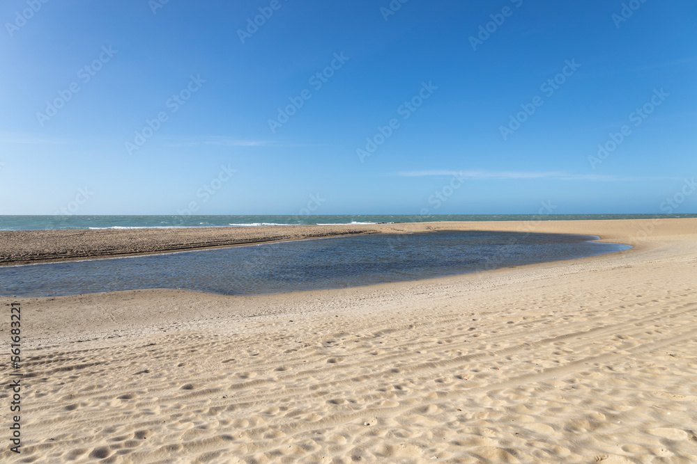 Serene Deserted Beach: Clear Skies and Open Sands in Midday