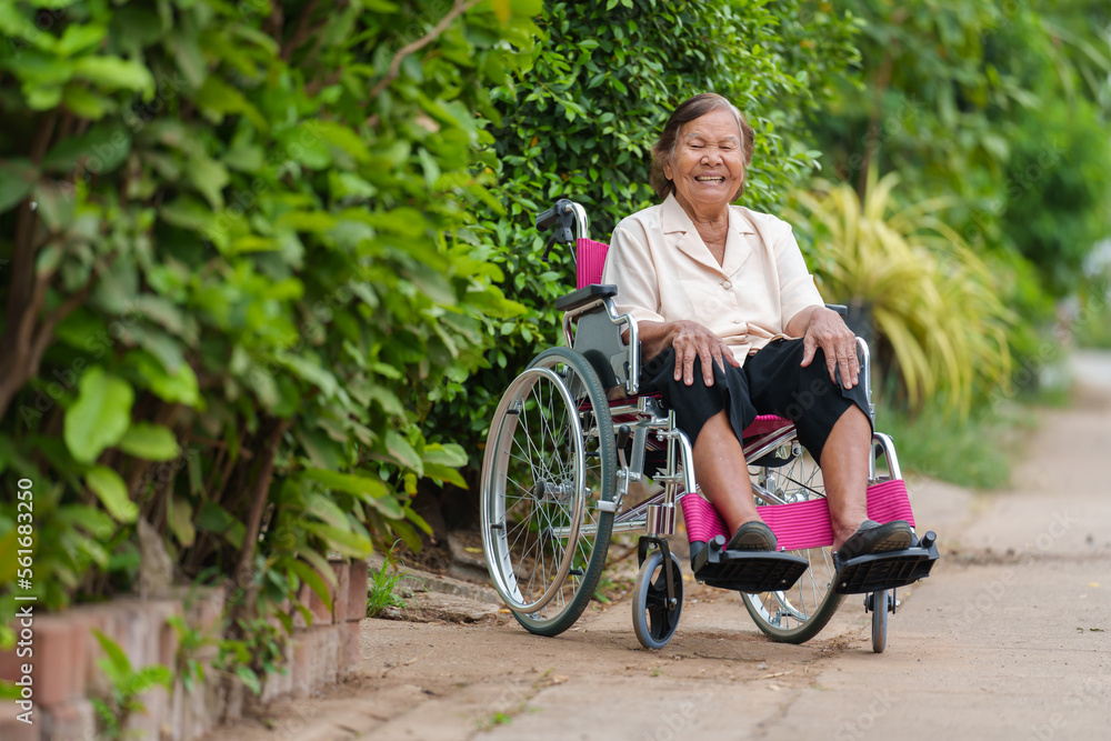 happy senior woman sitting in wheelchair at park