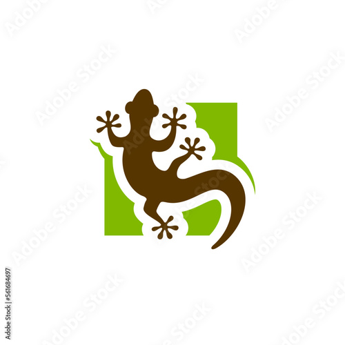 Brown LIzard Gecko Logo Design