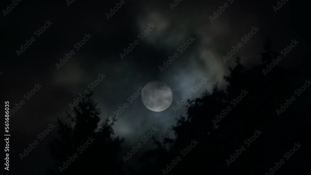 The Full Moon Rising Over Silhouetted Trees During a Powerful Windstorm The Full Moon Rising Over Silhouetted Trees During a Powerful Windstorm