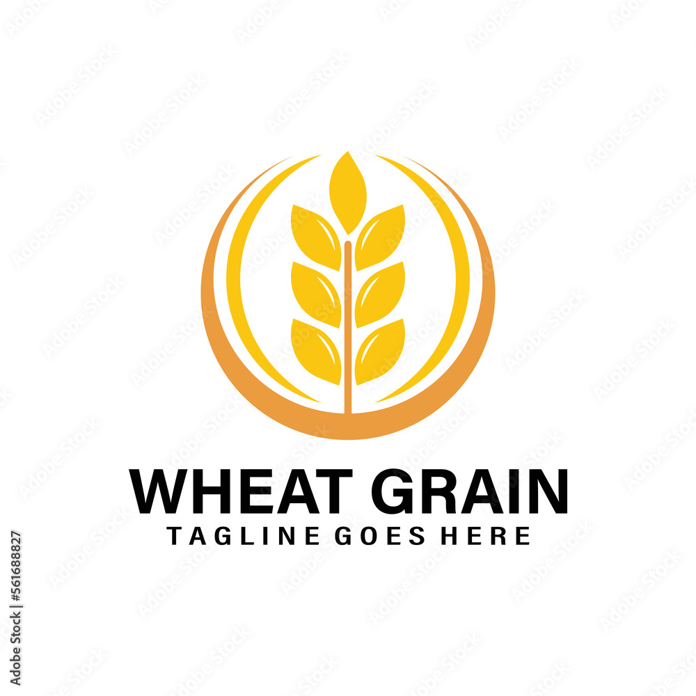 Fototapeta premium wheat grain logo icon vector isolated