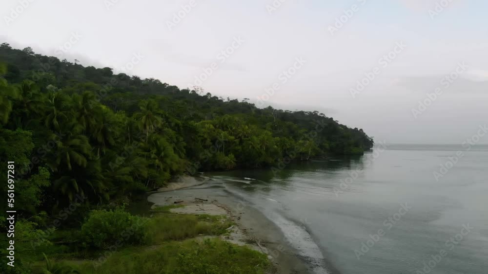 Aerial view of tropical forest on Gorgona island (Colombia)