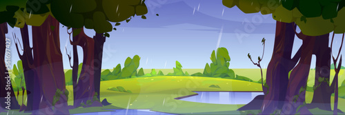 Rain in summer forest, wild nature landscape. Cartoon background with puddle, fields, green grass under wet trees and water shower falling from sky Vector illustration