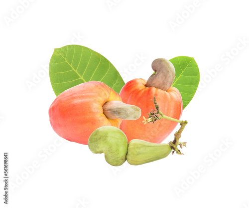 cashew nut, red apple cashew, cashew leave ,transparen png.