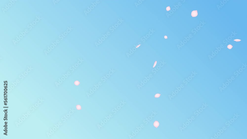 青空グラデーションの背景に舞い落ちる立体的な桜の花びらの4kループアニメーション動画素材