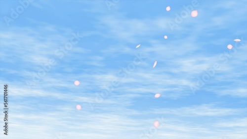 雲が流れる青空に舞い落ちる立体的な桜の花びらの4kループアニメーション動画素材