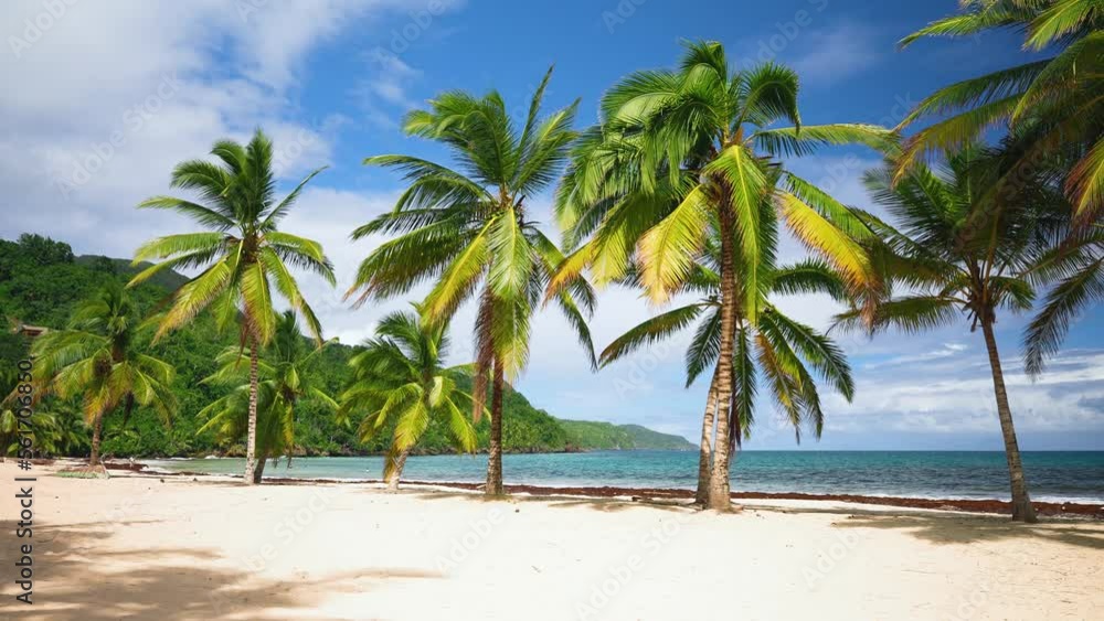 Landscape of a tropical beach with golden sand and bright palm trees against the backdrop of the azure waters of the Caribbean Sea. Sunny coastline with coconut palms on an exotic paradise island. Landscape of a tropical beach with golden sand and bright palm trees against the backdrop of the azure waters of the Caribbean Sea. Sunny coastline with coconut palms on an exotic paradise island.