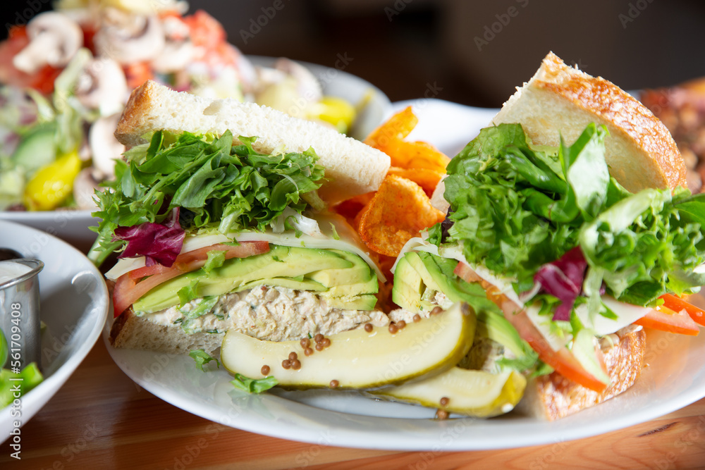A view of a tuna salad sandwich.