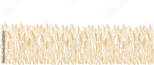Canvastavla Wheat field