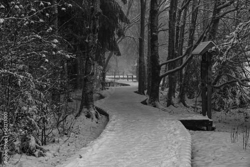Winterlandschaft Rhön-Das Schwarze Moor 3