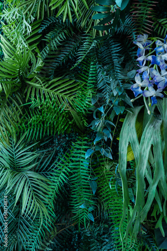Full Frame of Green Leaves Pattern Background, Nature Lush Foliage Leaf Texture, tropical leaf © Nabodin