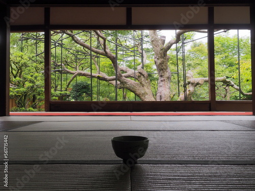 植物に囲まれた有名な寺の庭園