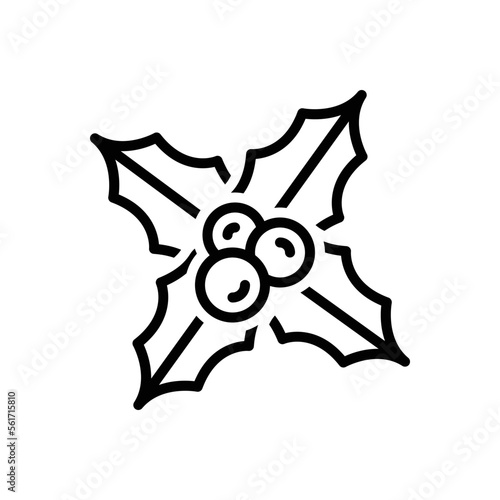 Black line icon for holly