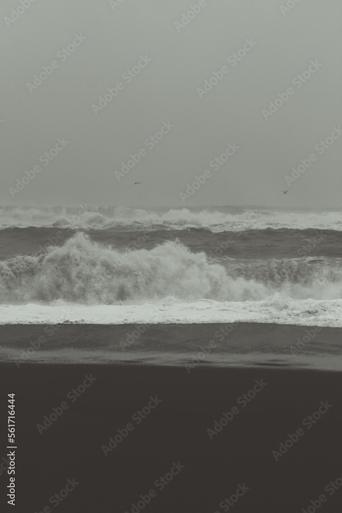Empty beach at storm monochrome landscape photo. Beautiful nature scenery photography with grey sky on background. Idyllic scene. High quality picture for wallpaper, travel blog, magazine, article