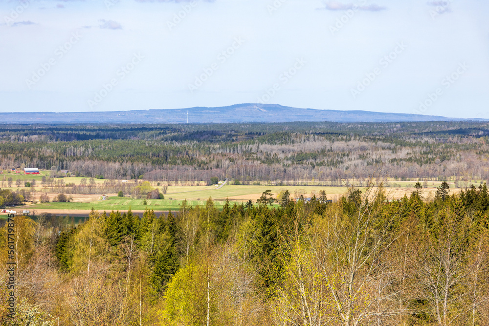 View at Kinnekulle a mountain in sweden at spring
