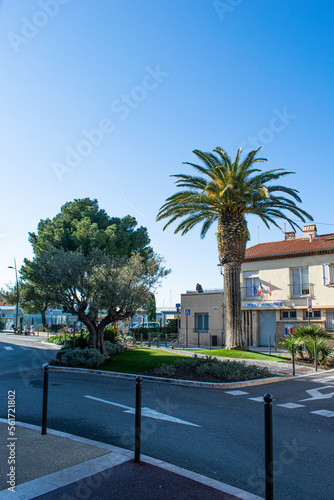 Saint Trope street with palm tree