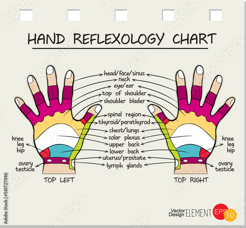 sketch of hand, massage reflexology, vector illustration