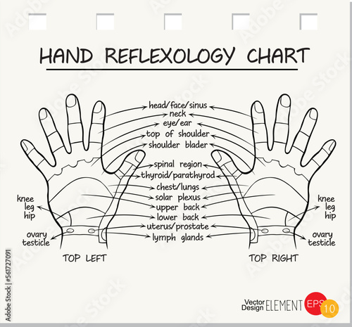 sketch of hand, massage reflexology, vector illustration