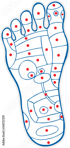 Foot reflexology , vector illustration