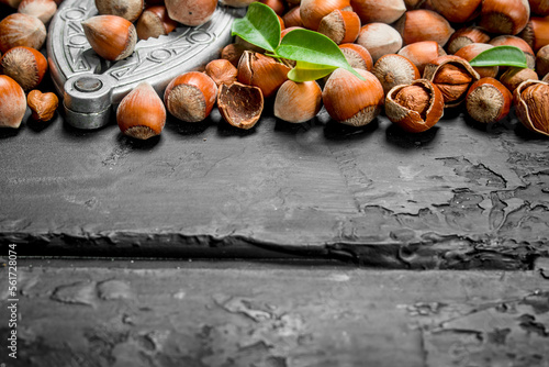 Hazelnuts in a shell with a Nutcracker.