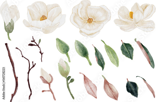 watercolor white magnolia flower and leaf bouquet elements collection