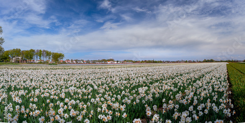 Keukenhof