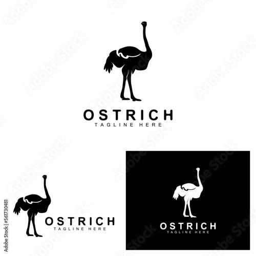 Ostrich Logo Design, Desert Animal Illustration, Living In The Forest, Vector Camel Brand Product