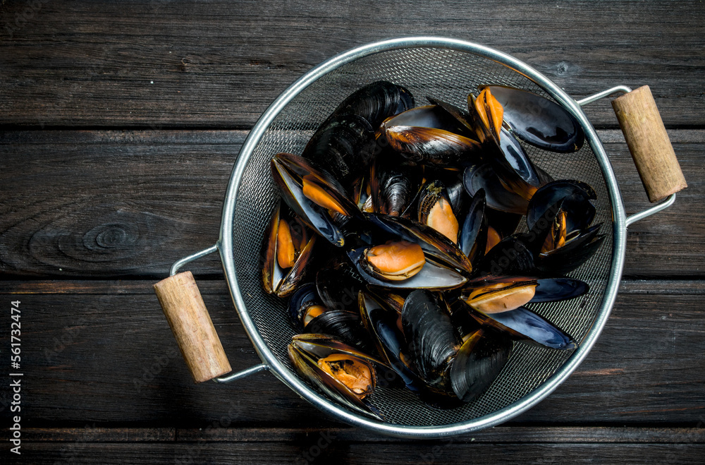 Fresh seafood clams.