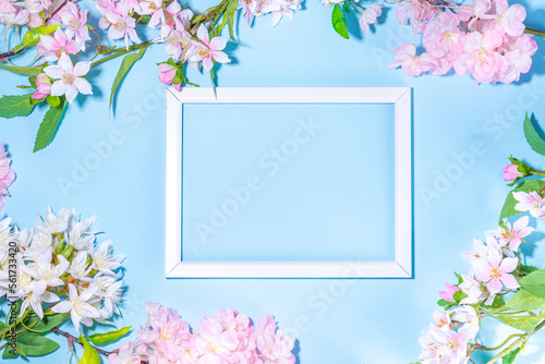 Beautiful spring nature background with blossom flowers, petal on light blue background , top view, frame. Springtime holiday flat lay copy space