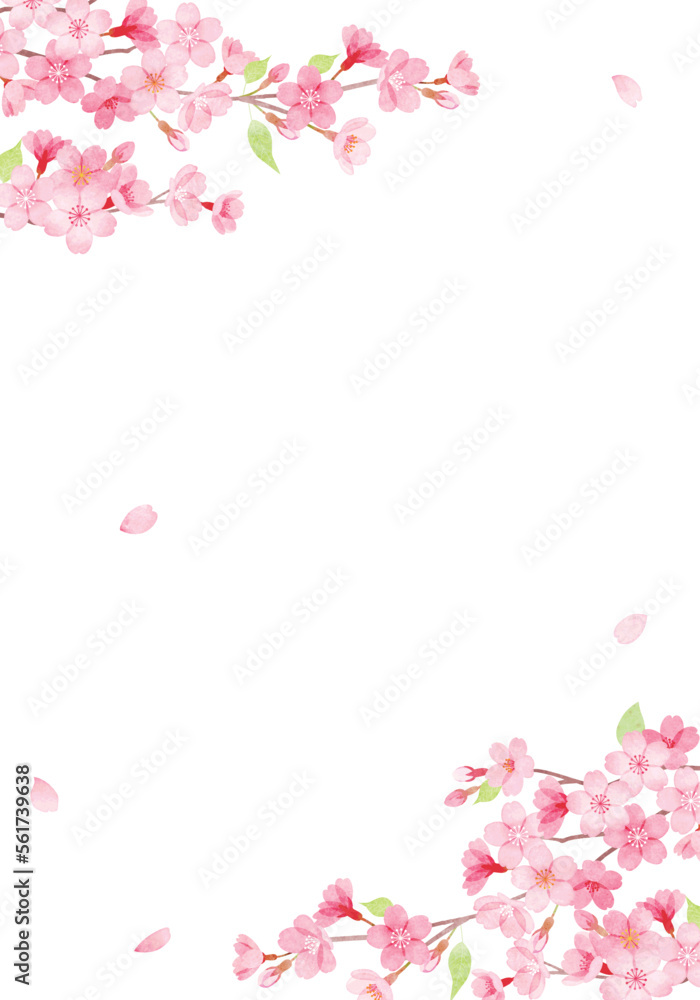 手描き水彩　桜のフレームイラスト　
