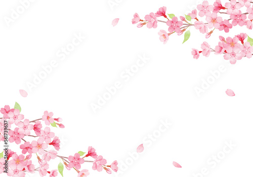 手描き水彩 桜のフレームイラスト 