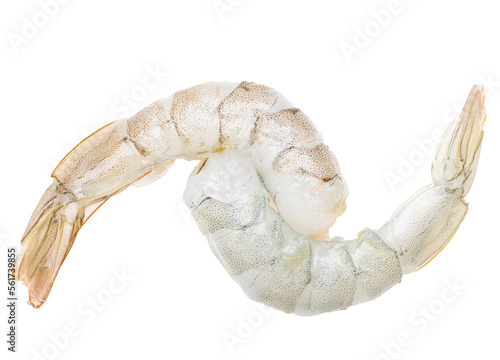 fresh white-legged shrimp on a white background