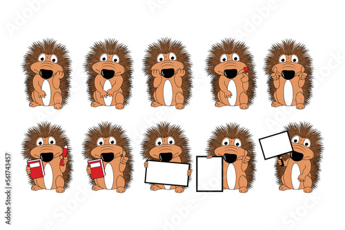 cute porcupine animal cartoon graphic