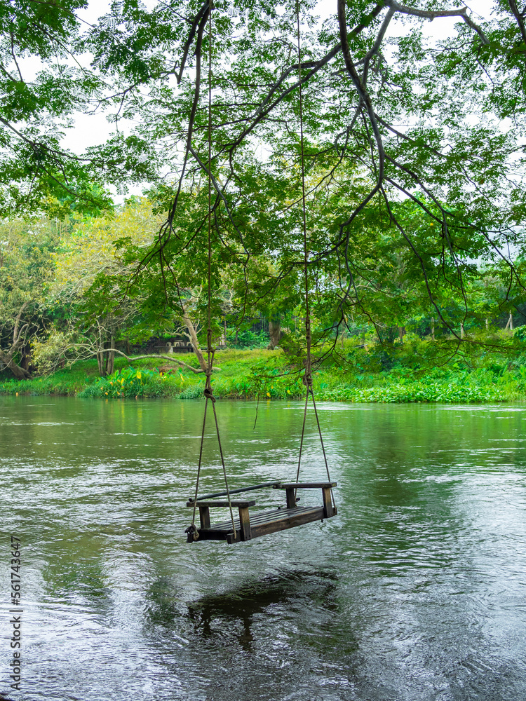 Obraz premium Empty old lonely wood swing hanging on the big tree over the large stream on the green forest background, relaxing place, vertical style. Hanging bench chair seat with the nature view.
