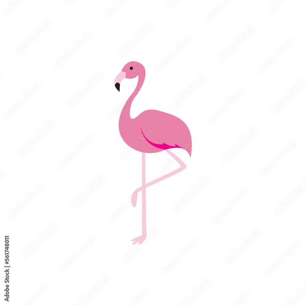 Obraz premium flamingo vector graphic element design