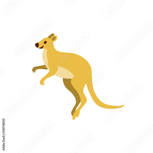 kangaroo vector graphic element design