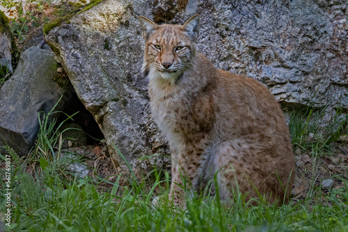 Photography Val d'Aran