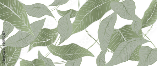 Botanical foliage line art background vector illustration. Tropical palm leaves drawing contour style pattern background. Design for wallpaper, home decor, packaging, print, poster, cover, banner.