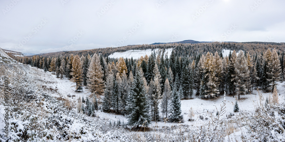View of Ulagan Highlands in Altay mountains View of Ulagan Highlands in Altay mountains