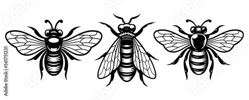 Set of black and white bees vector illustrations, this design can be used as a logo or for a honey label