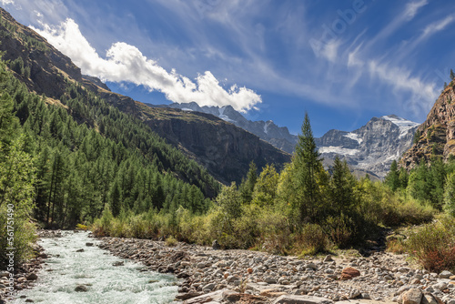 Foaming water stream rushes along channel lined with pebbles in gorge with pine forests in Gran Paradiso National Park, surrounded by high mountain granite massifs. Aosta valley, Italy
