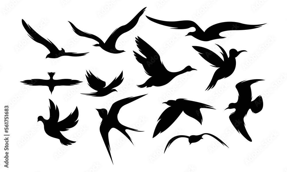 Bird silhouette icon symbol illustration vector set bundle asset template shadow, black, pultry, fly bird editable Bird silhouette icon symbol illustration vector set bundle asset template shadow, black, pultry, fly bird editable