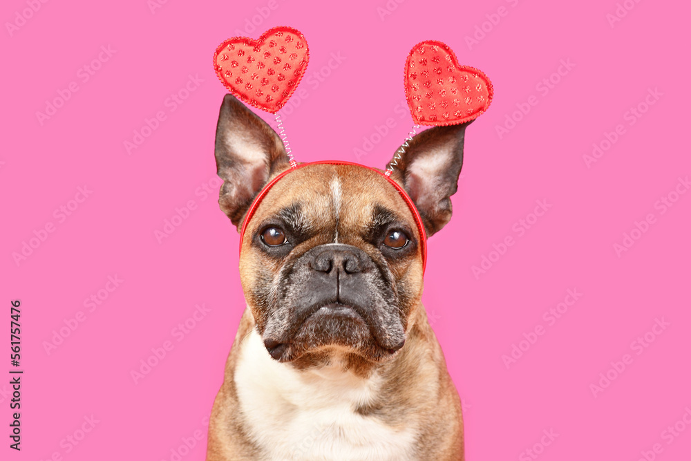 French Bulldog dog wearing Valentine's Day headband with hearts and bow tie on pink background