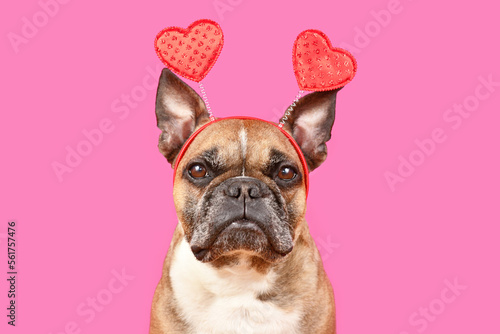 Fotobehang French Bulldog dog wearing Valentine's Day headband with hearts and bow tie on p