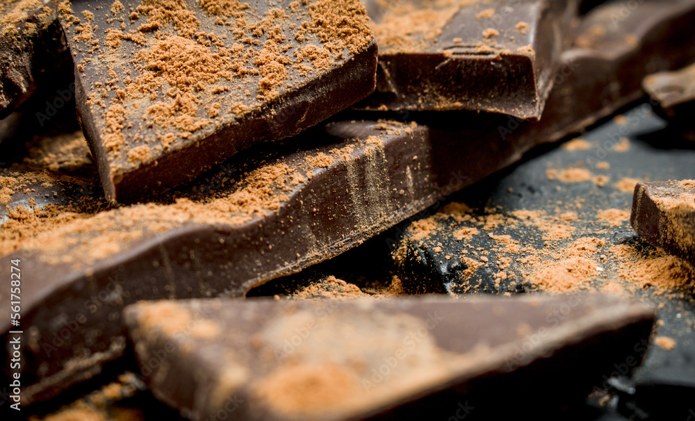 Chocolate slices sprinkled with cocoa powder. Chocolate slices sprinkled with cocoa powder.