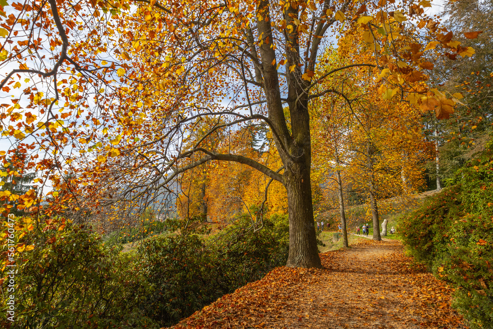 Fototapeta premium View of the Natural reserve of the Burcina 