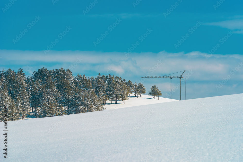 Construction crane at the edge of the pine wood forest under snow in winter. Deforestation driven by housing development project engineering.