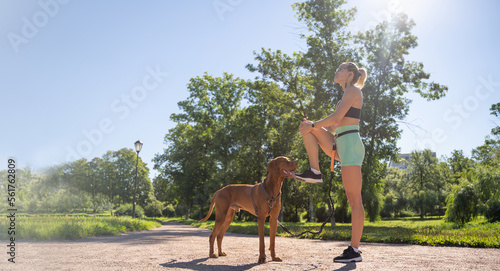 Caucasian middle-aged woman doing workout exercise together with pet dog in public park in sunny summer morning. Warm up before running jogging training. Active healthy lifestyle. Copy space banner © Chiralli